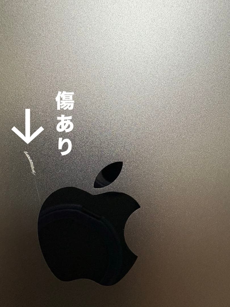 iPad Pro 12.9インチ(第6世代) Wi-Fi + Cellular