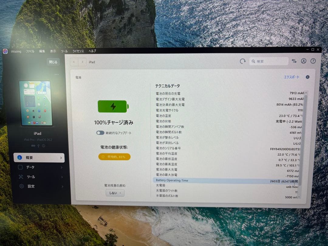 Apple ipad pro 第3世代 1TB