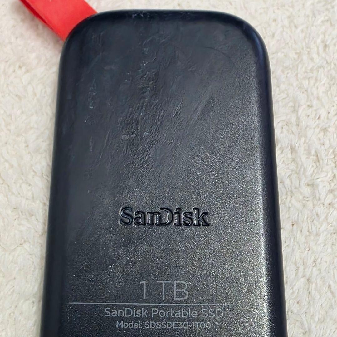 SanDisk ポータブルSSD 1TBCan×2ストアー ※プロフ必読※