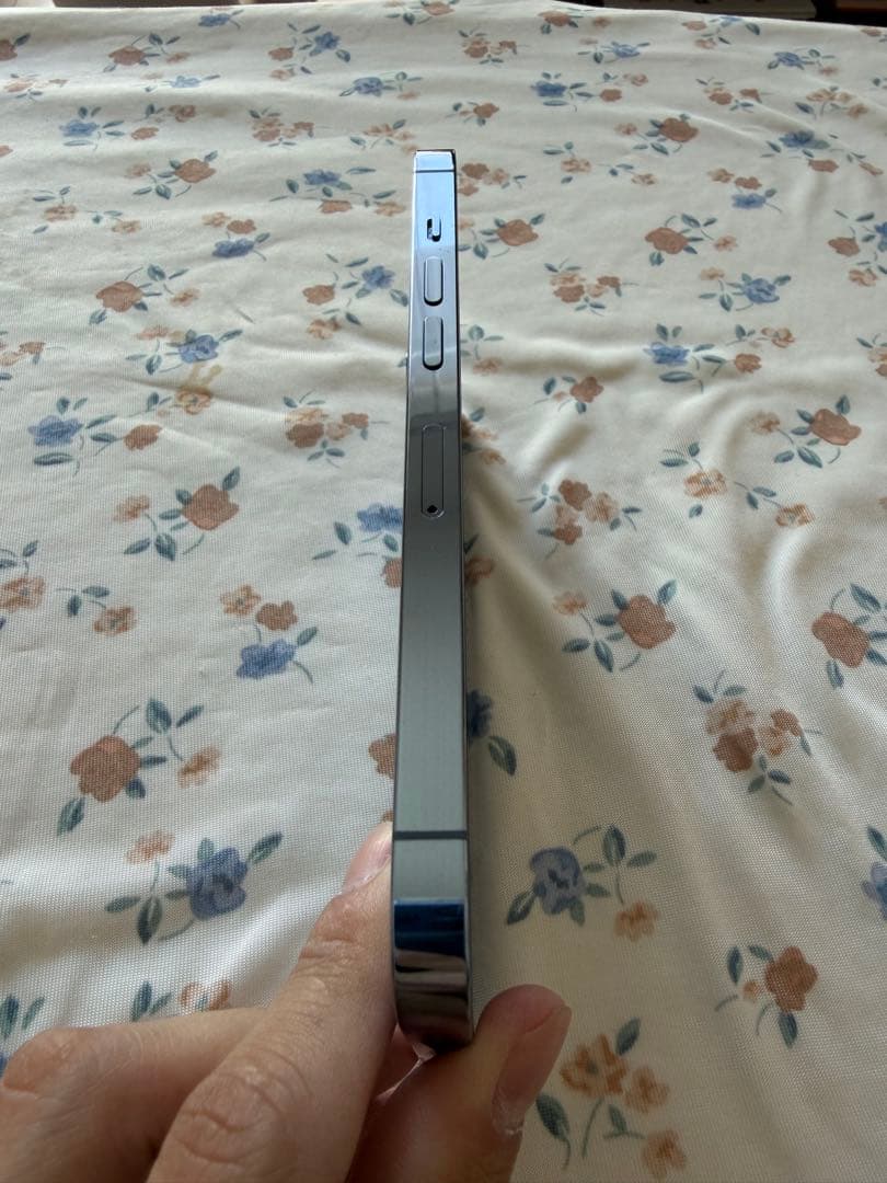 iPhone13Pro 256GB シエラブルー