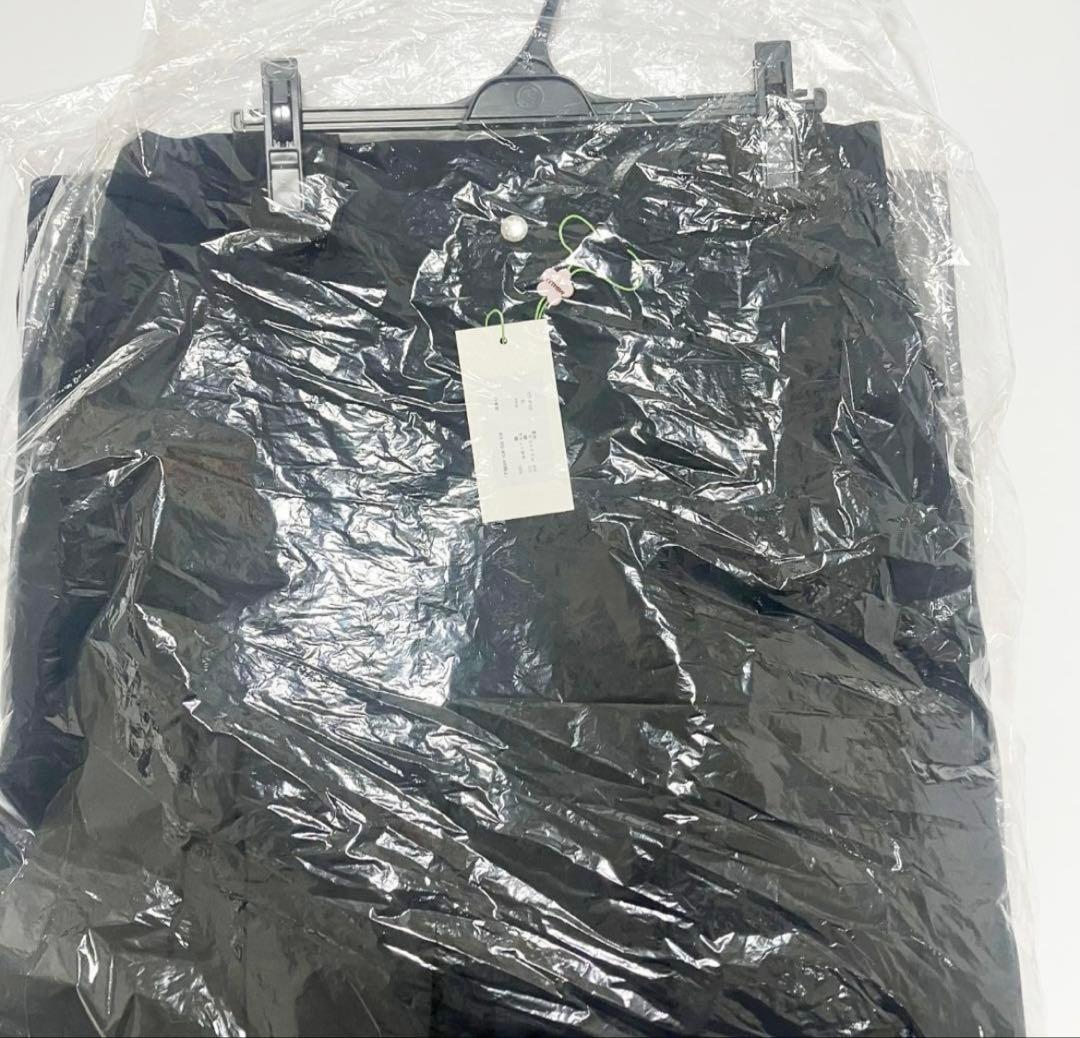 25aw TTT MSW Chino slacks（NAVY） L