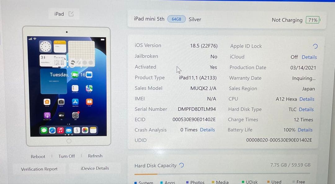 iPad Mini 第5世代 64GB Wi-Fi 100%