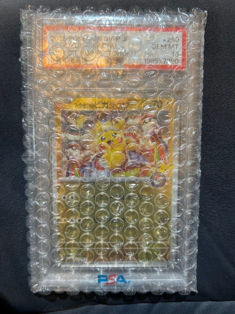 カ*認様 トウホクのピカチュウ