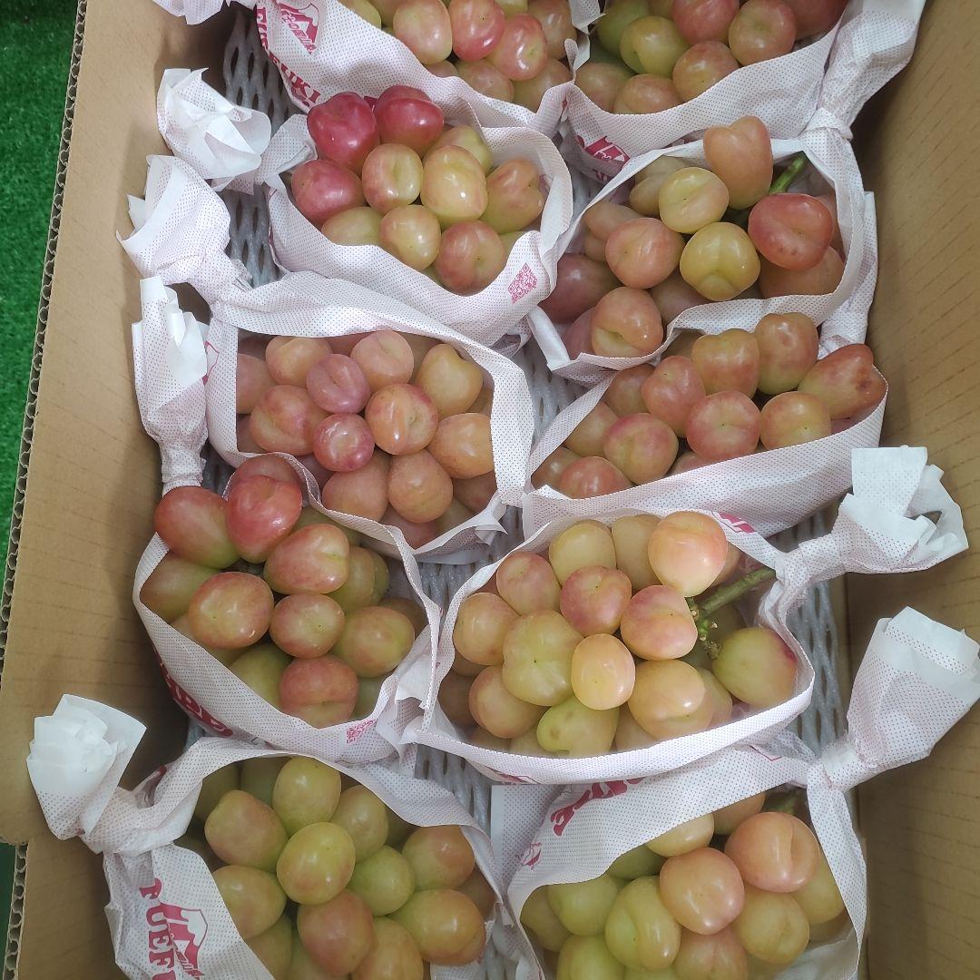 1⃣5️⃣ 山梨県産 マイハート １０房入り 箱込み5.8キロ