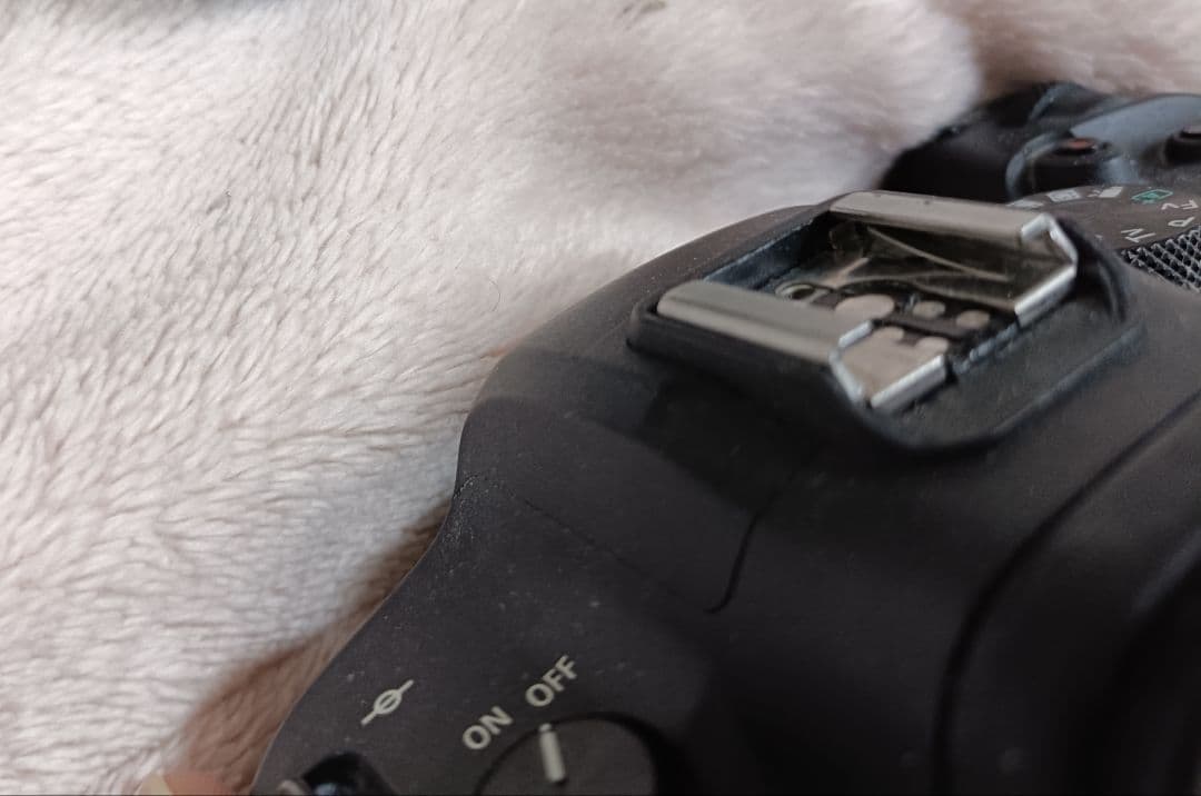 Canon EOS R6 ミラーレスカメラ本体