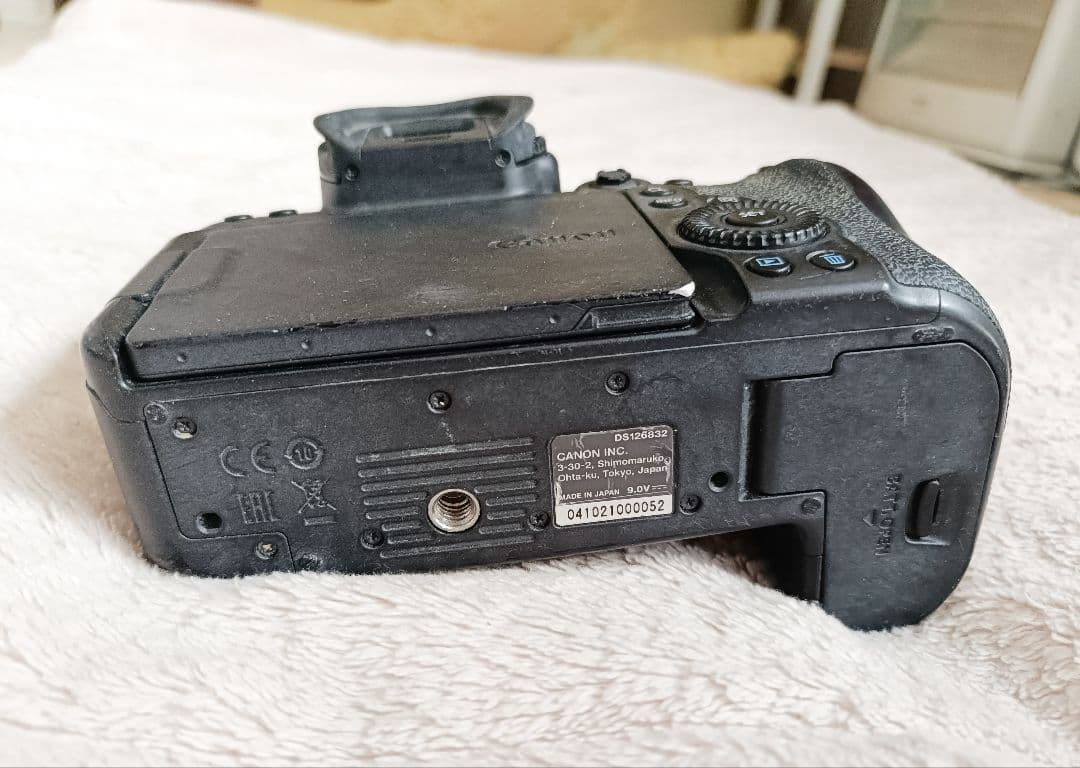 Canon EOS R6 ミラーレスカメラ本体