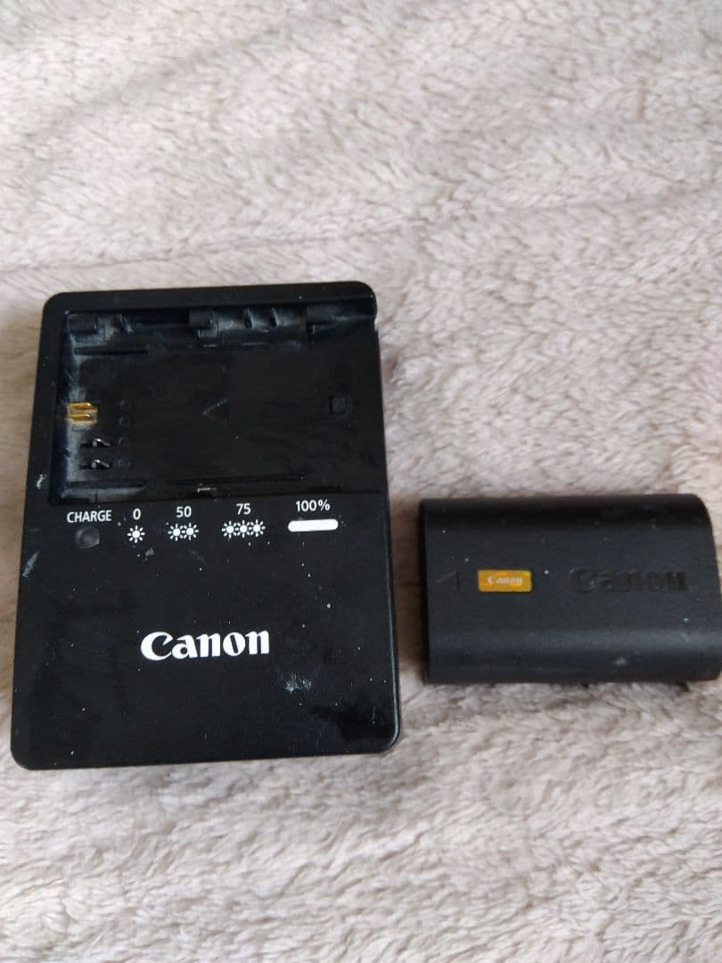 Canon EOS R6 ミラーレスカメラ本体