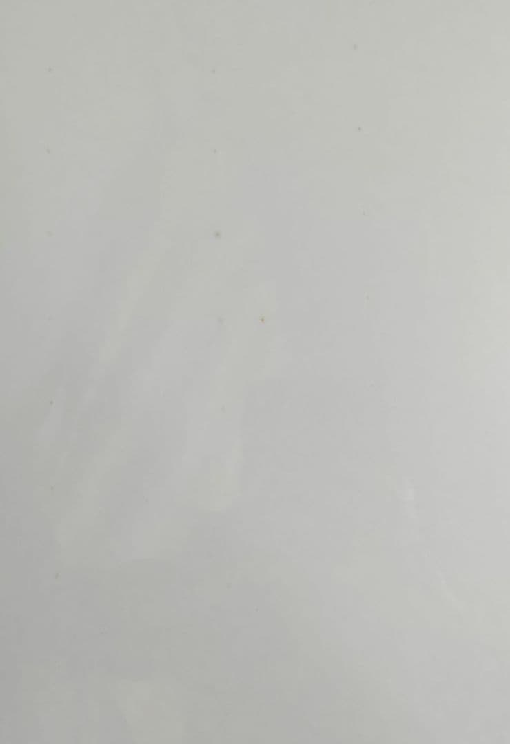 ONE PIECE FILM STRONG WORLD パズル 2000ピース