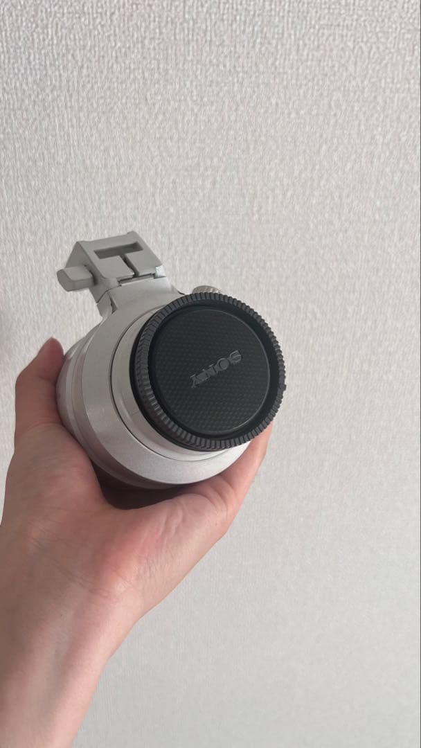 【美品】SONY FE 100-400mm F4.5-5.6 GM OSS