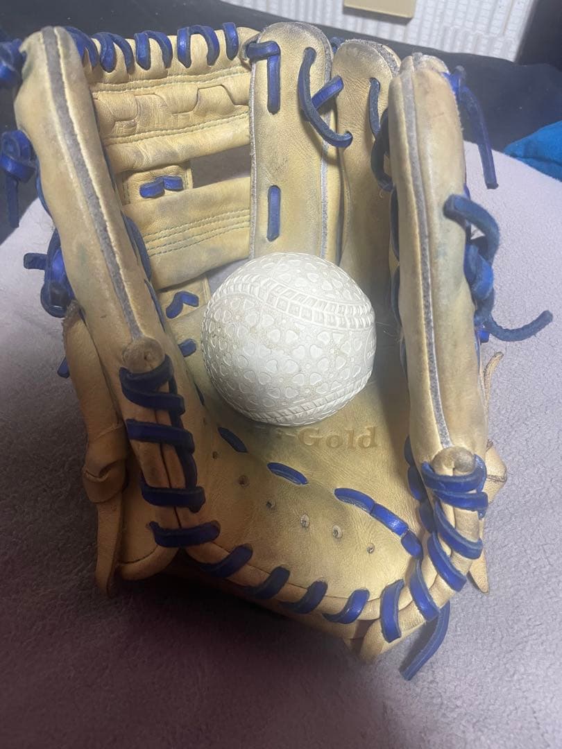 ハイゴールド　少年用軟式グローブ 右投げ用