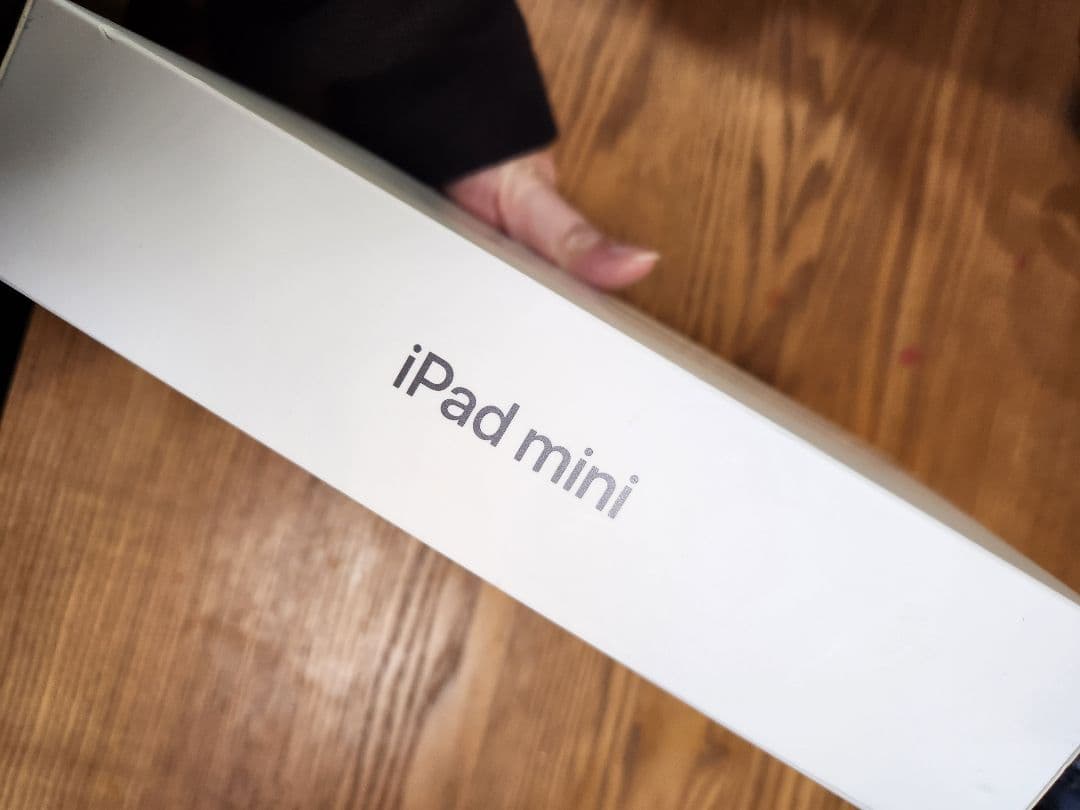 iPad mini 第5世代　本体　ジャンク品