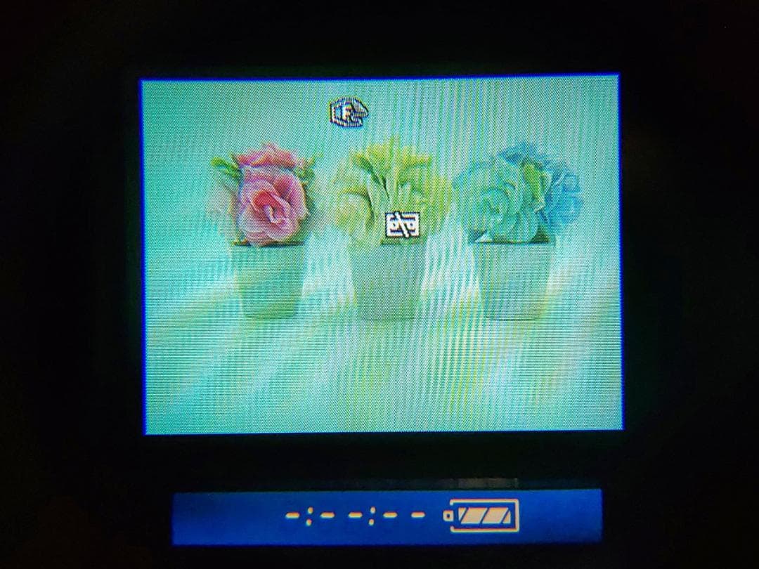 プロ向けモデル！ SONY ビデオカメラ DCR-VX1000 02