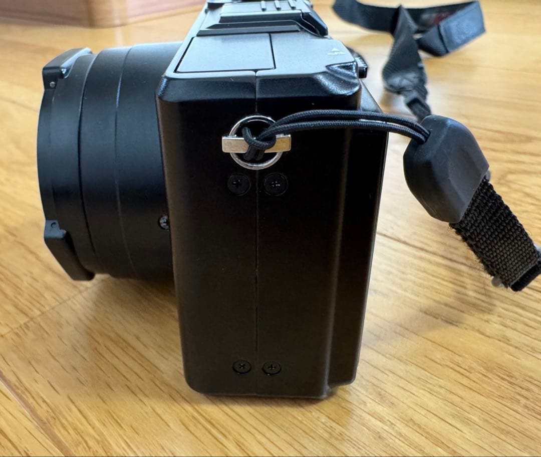 シグマ SIGMA DP2x