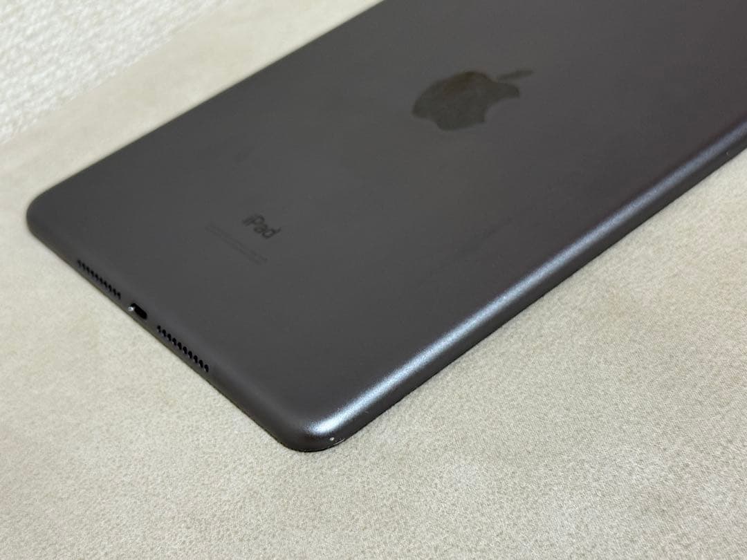 Ipad mini 第5世代256GB WI-FI＋ cellular