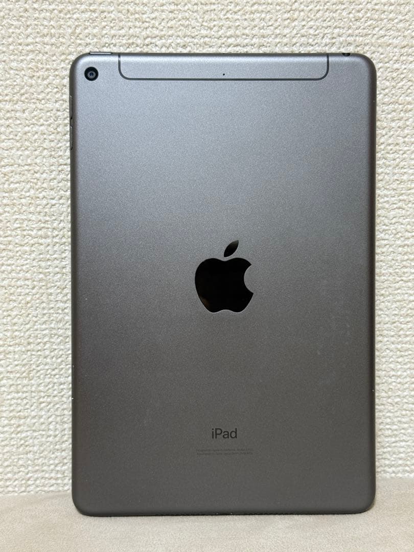 Ipad mini 第5世代256GB WI-FI＋ cellular