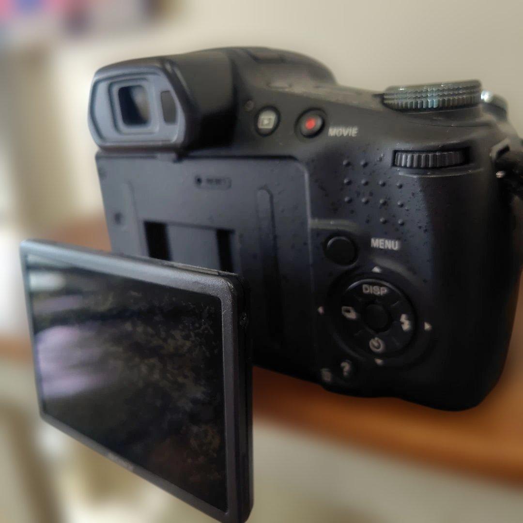 gutty【カメラ】Sony Cyber-shot DSC-HX100V