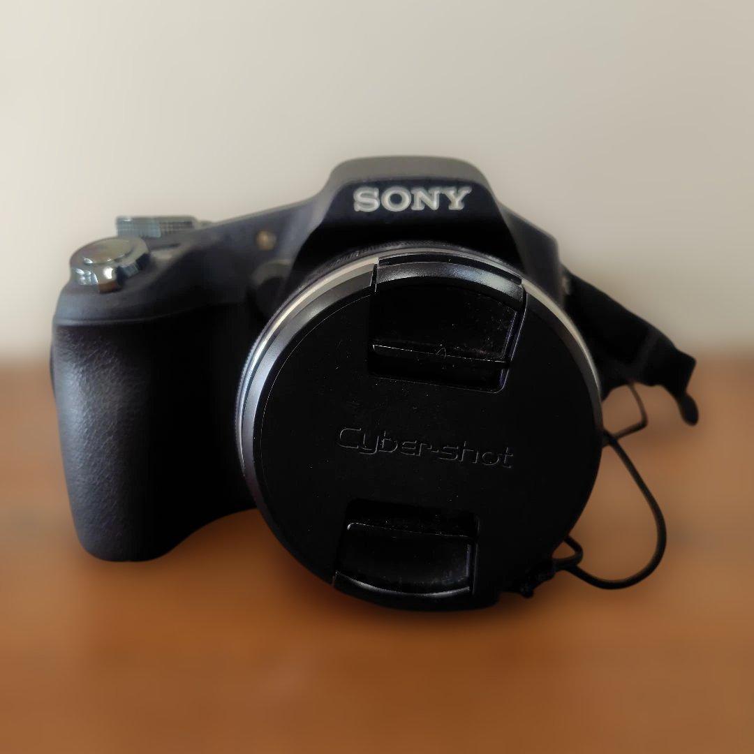 gutty【カメラ】Sony Cyber-shot DSC-HX100V