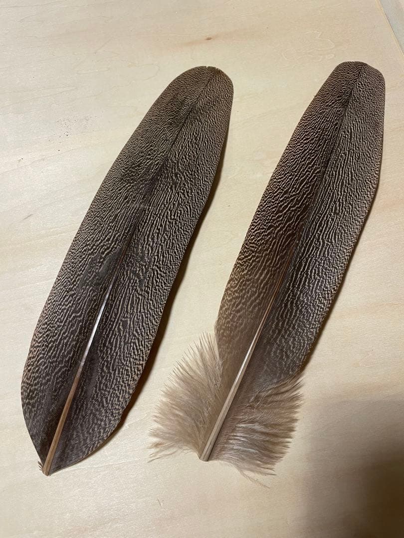 candlestickmaker 様