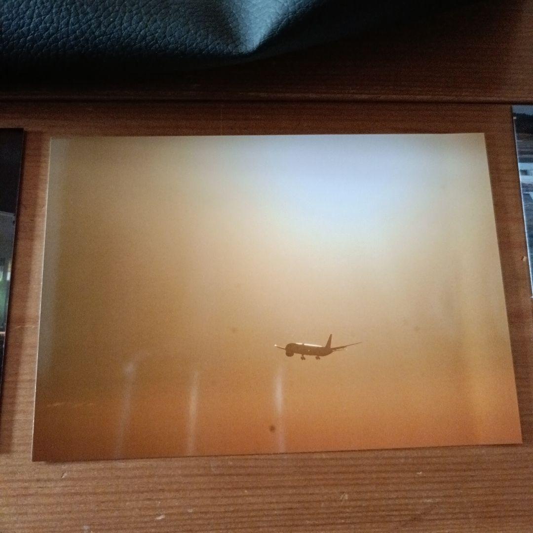 LIGHTDOW 420-800mm 望遠レンズ ソニー用アダプター付