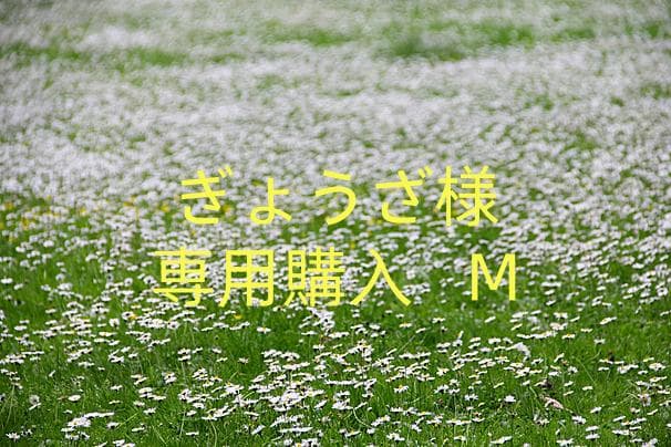 ぎょうざ購入 M