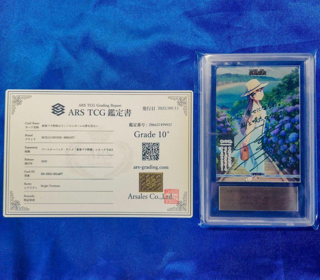 N*Y様 ARS10+　ビルディバイド　桜島麻衣　BT 青春ブタ野郎シリーズ