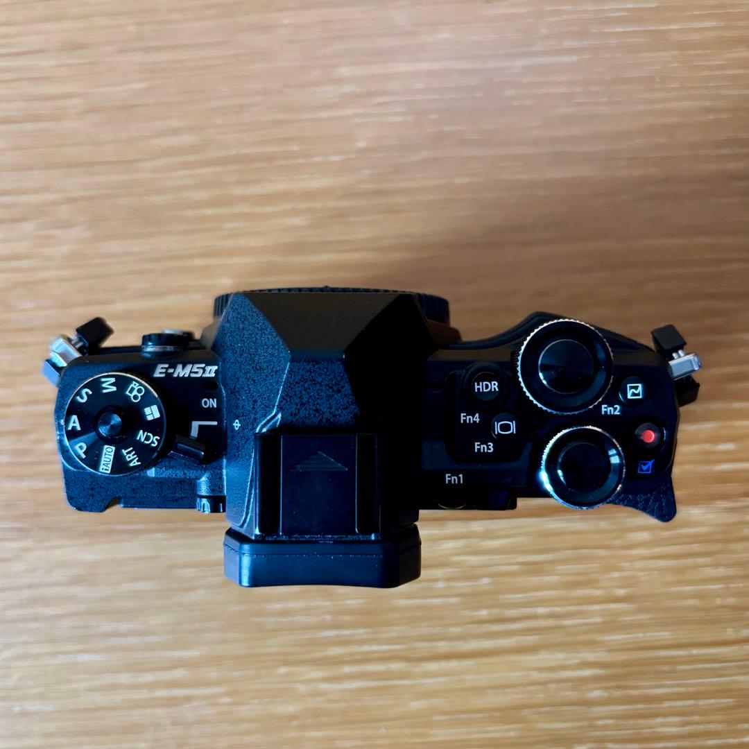 OLYMPUS OM-D ミラーレス一眼 ED 12-40mm 美品