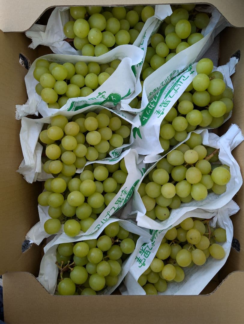 山梨県産ぶどう　シャインマスカット　9房入り　箱込み約5.5kg