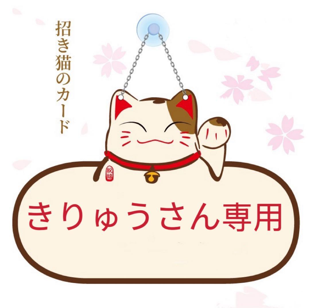 きりゅうさん専用