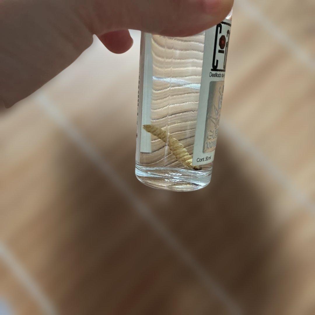 スペインのお酒　蒸留酒