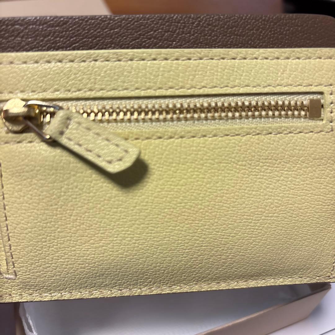 MOLINI カードケース イエロー・ブラウン