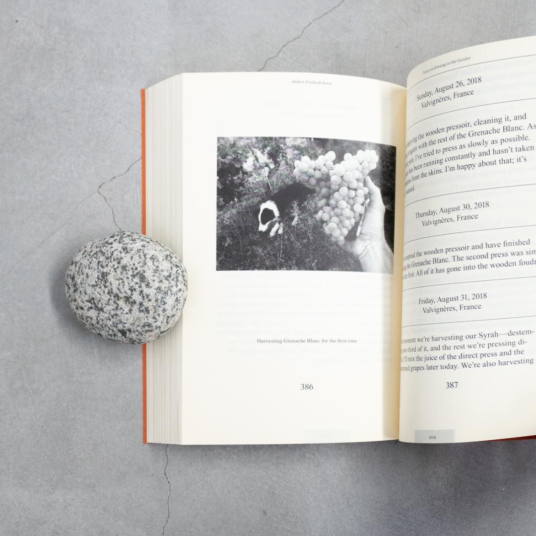 洋書 Poetry Is Growing in Our Garden