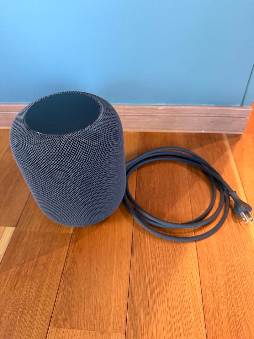 【ジャンク】Apple Pod スペースグレー 本体