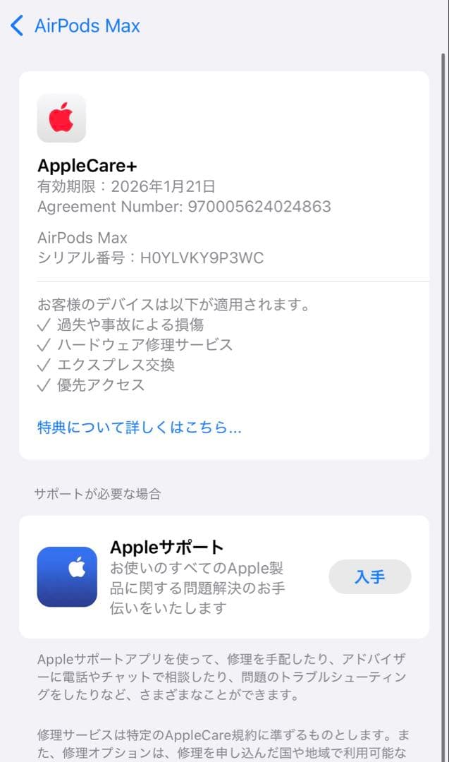 【Meichann203さん専用】AirPods Max シルバー 本体