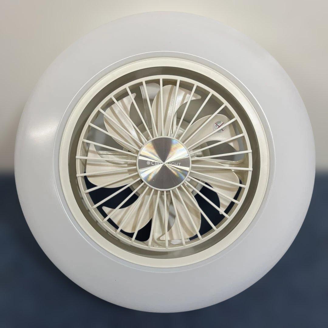 DOSHISHA ドウシシャ DCC-SW06EC サーキュライト