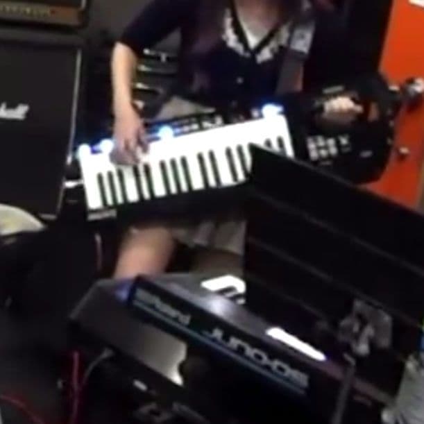 Roland Lucina AX-09 ケース付