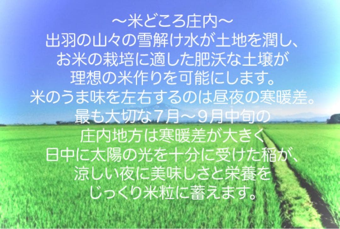 農家直送！令和７年産　はえぬき　山形県庄内産　白米２０ｋｇ
