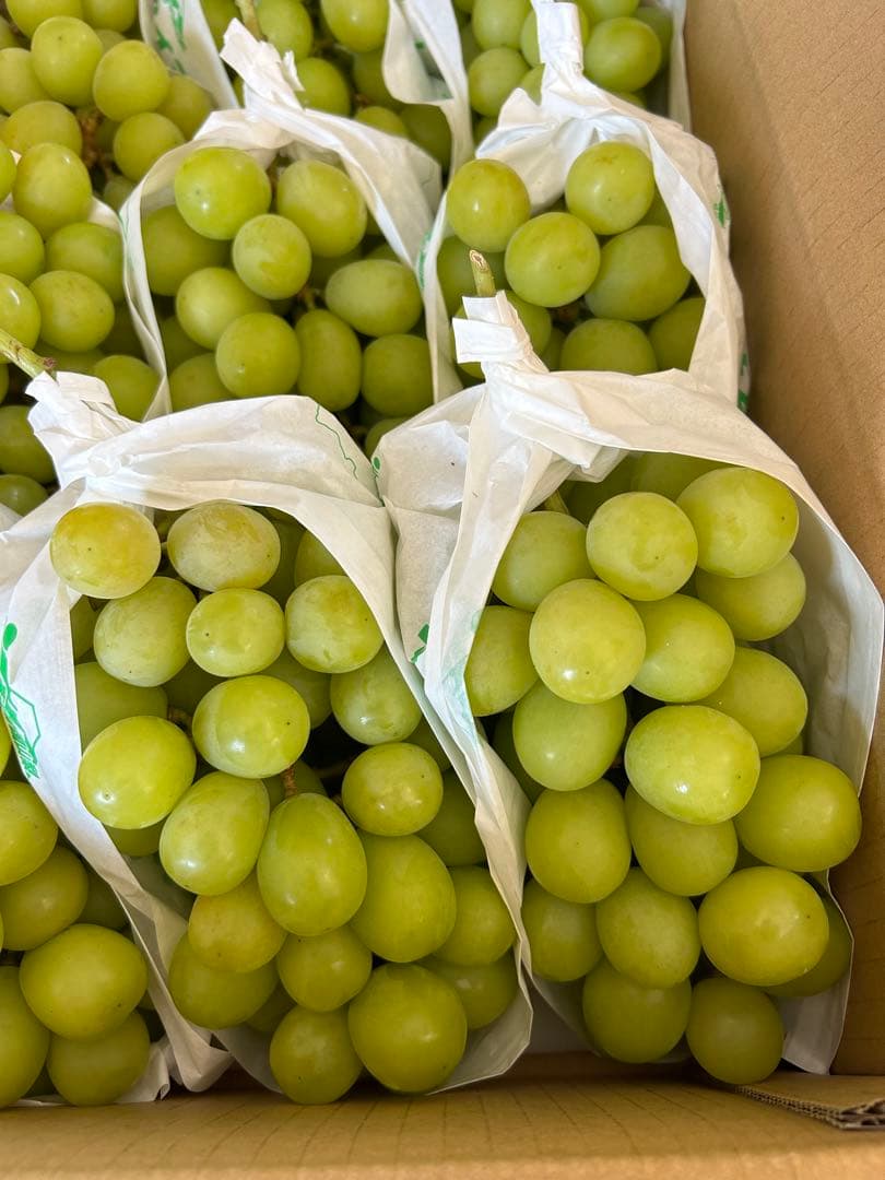 専用　クール　ぶどう　シャインマスカット 正味5キロ　家庭用