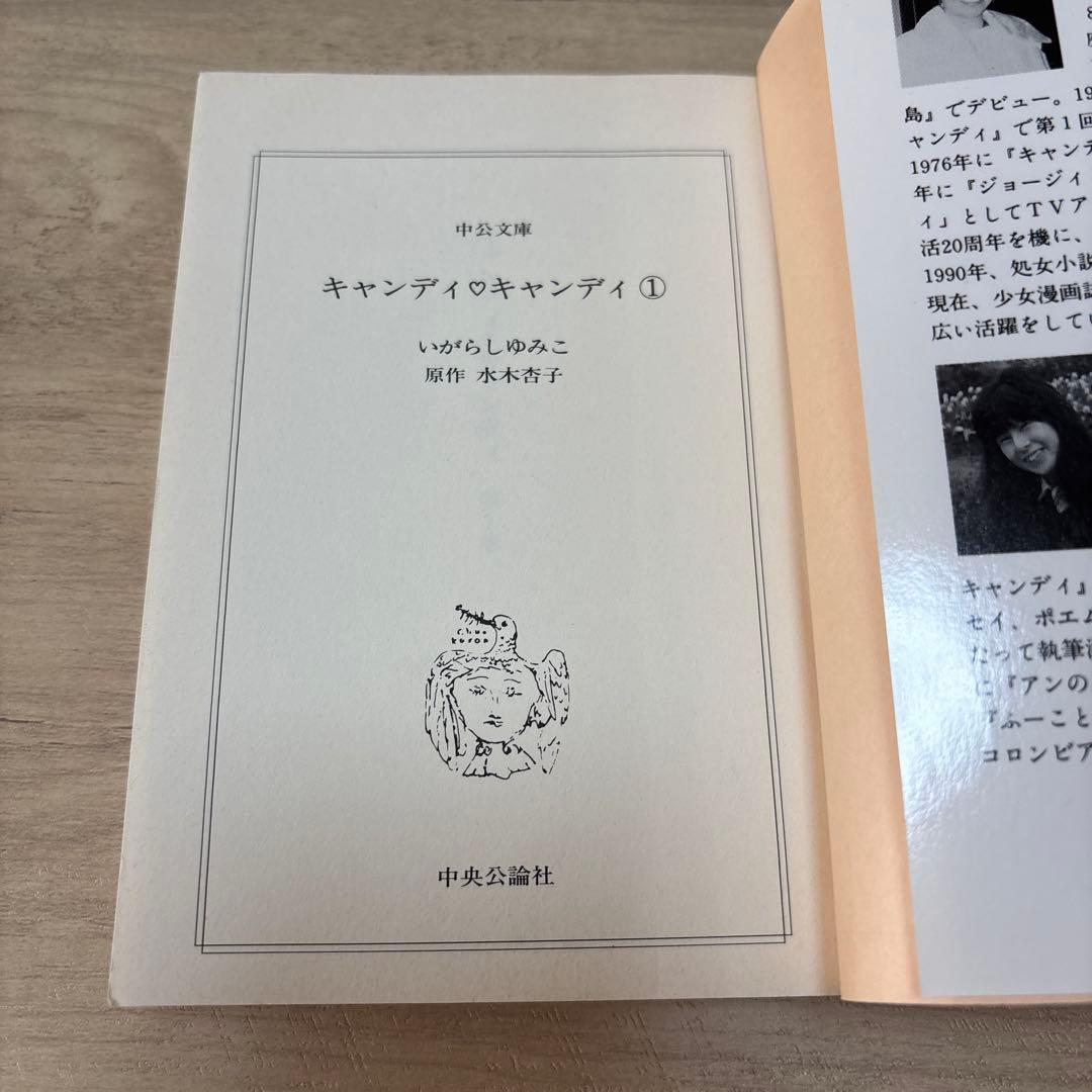 キャンディ♡キャンディ いがらしゆみこ 文庫版 全巻セット②