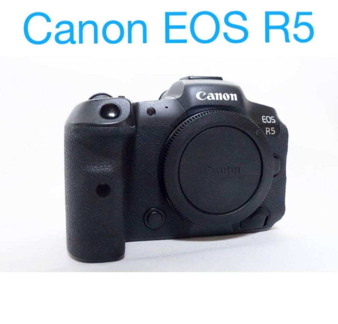 美品/高画質/ミラーレス一眼レフカメラ Canon EOS R5