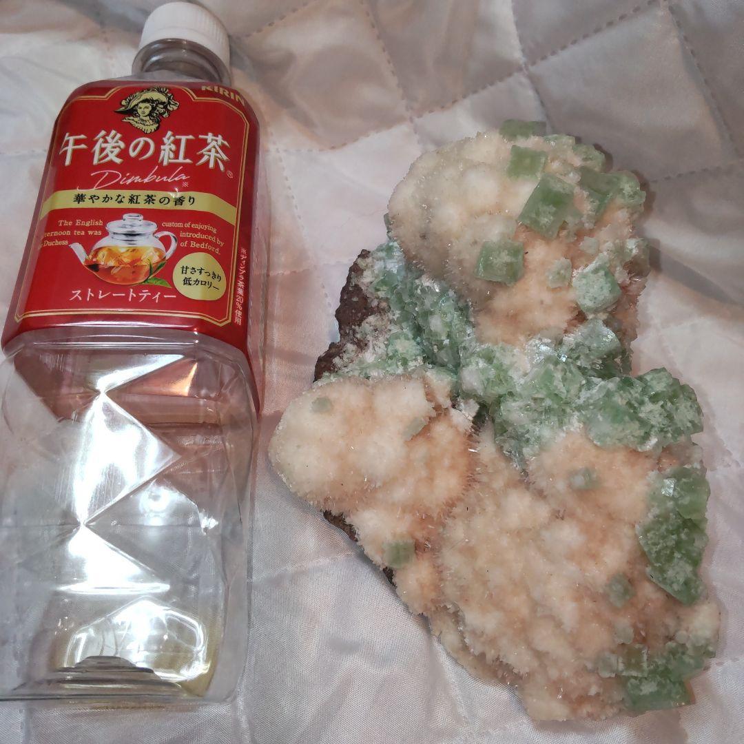 Borders様激レアアポフィライト約１キロ緑と白コントラストスーパービューティ