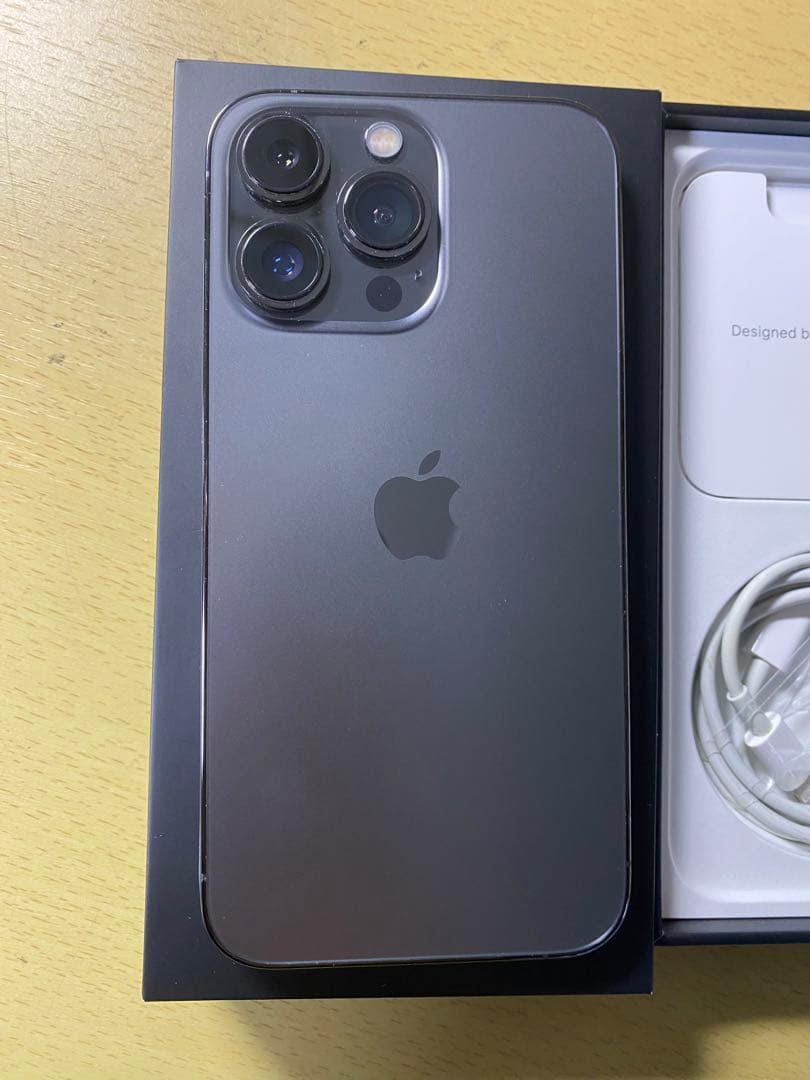 Apple iPhone 13 Pro 256GB グラファイト シンガポール版