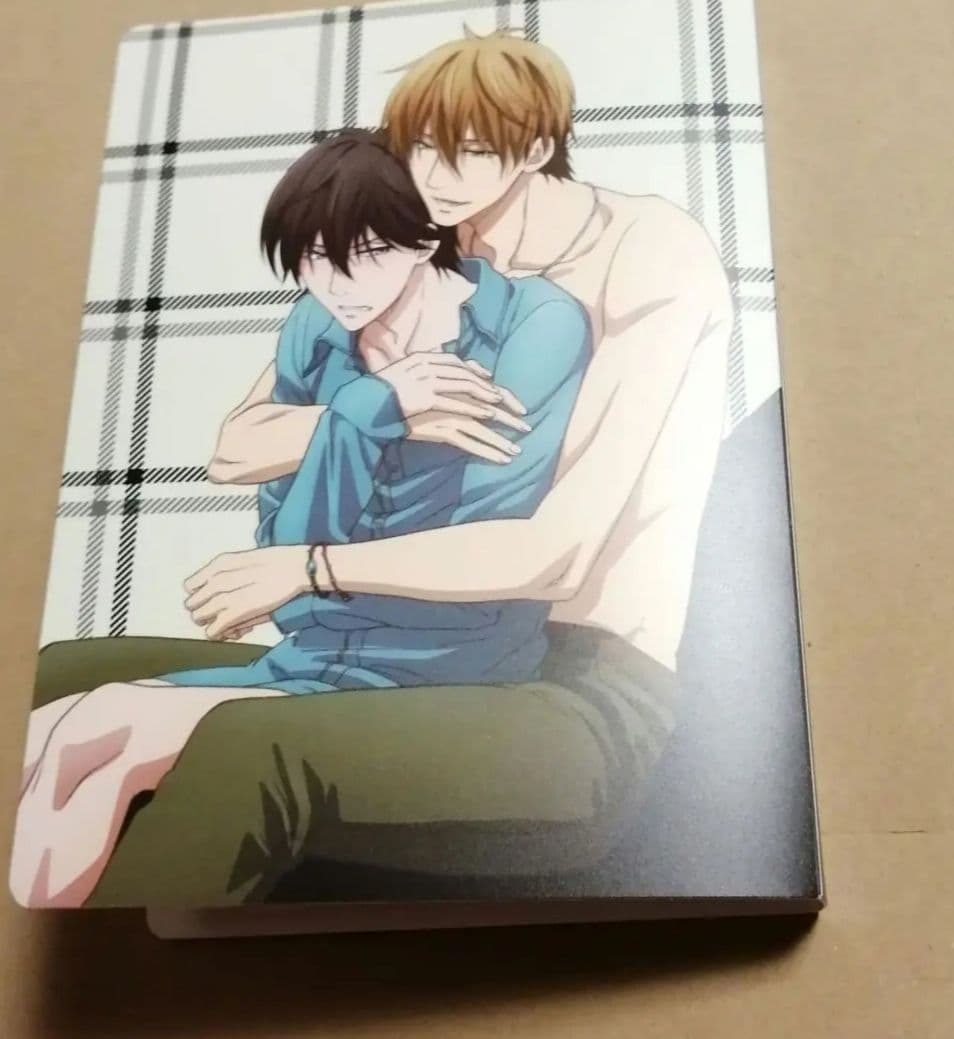 だかいち　アニメイト特典　小冊子　セット