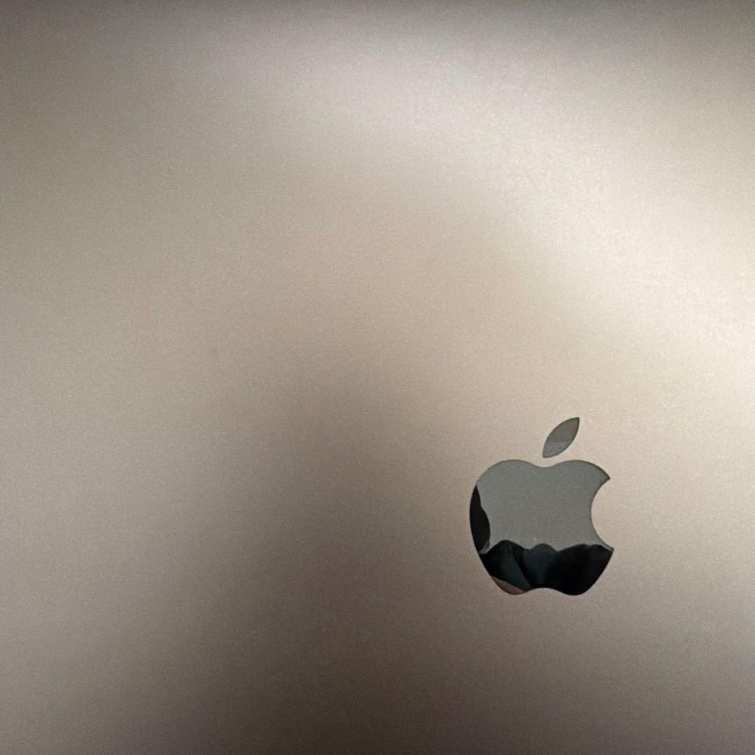 MacBook本体 MacBook Pro (2019) Intel i7 32GB