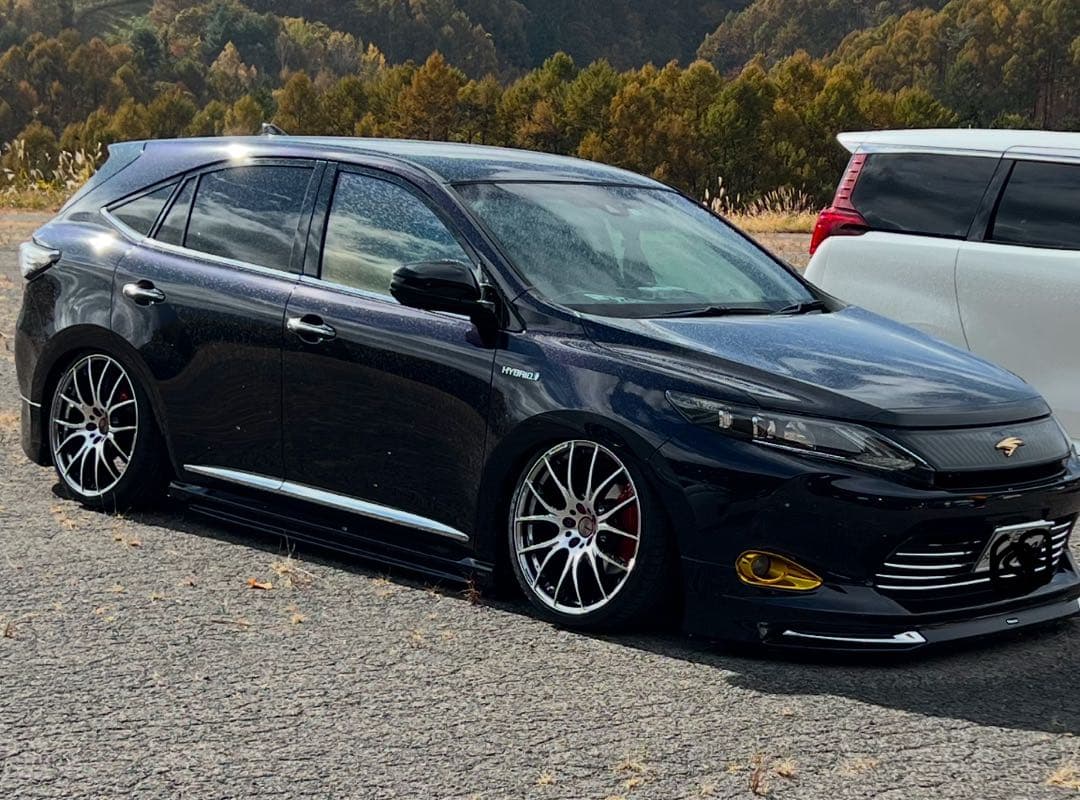 ハリアー60、アルヴェル30エアサス(フロントのみ