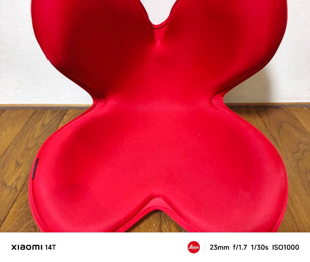 【美品】MTG 骨盤サポート　ボディメイクシート　スタイル　レッド ブラウン