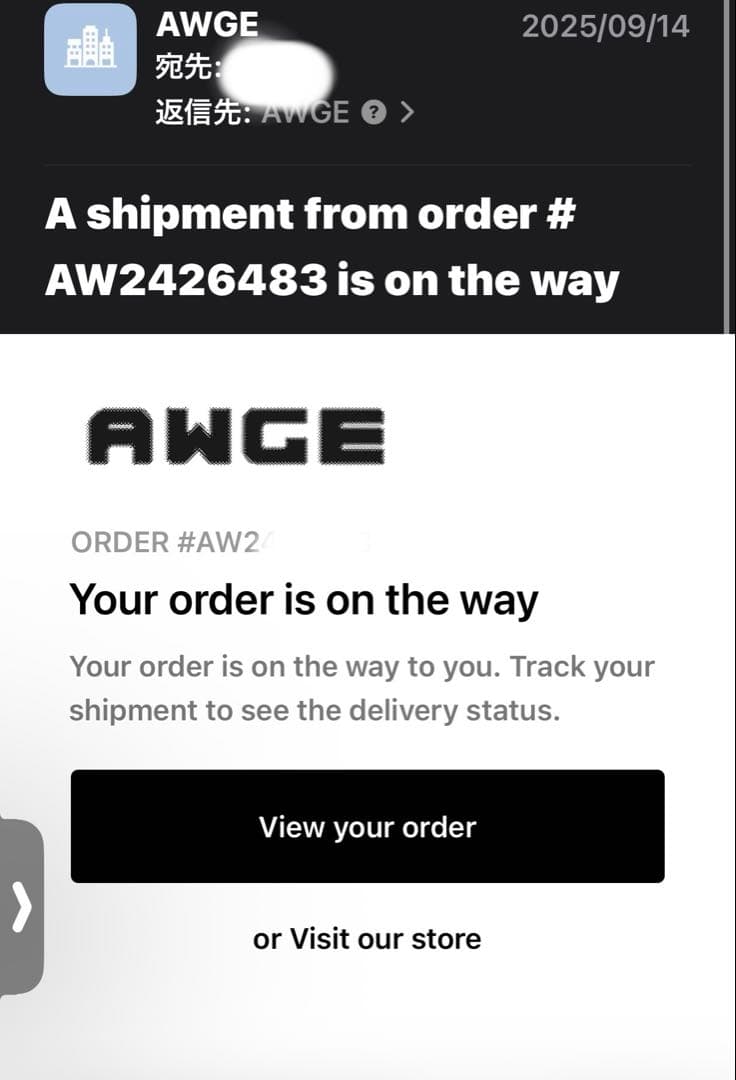 A$AP ROCKY AT.LONG.LAST.A$AP LPレコード