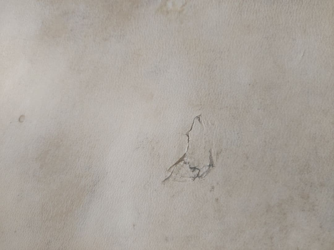 中型和太鼓 カラフルデザイン