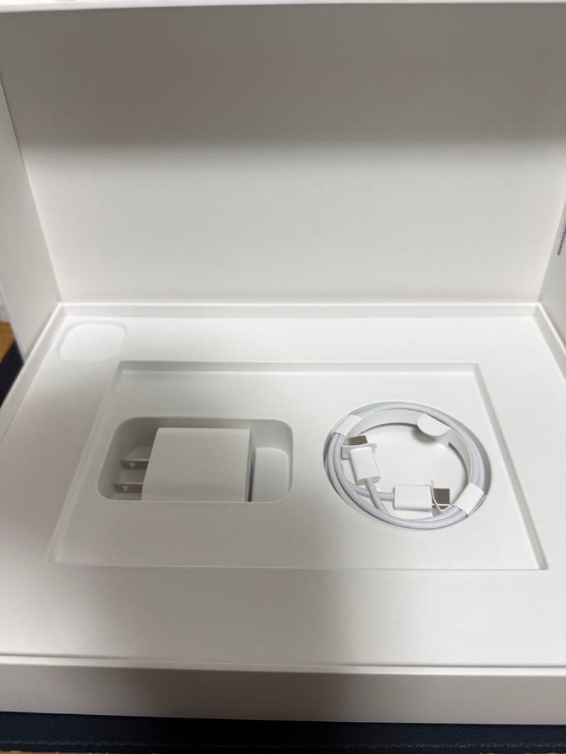 iPad Pro11/256GB/2020年/ケース付き