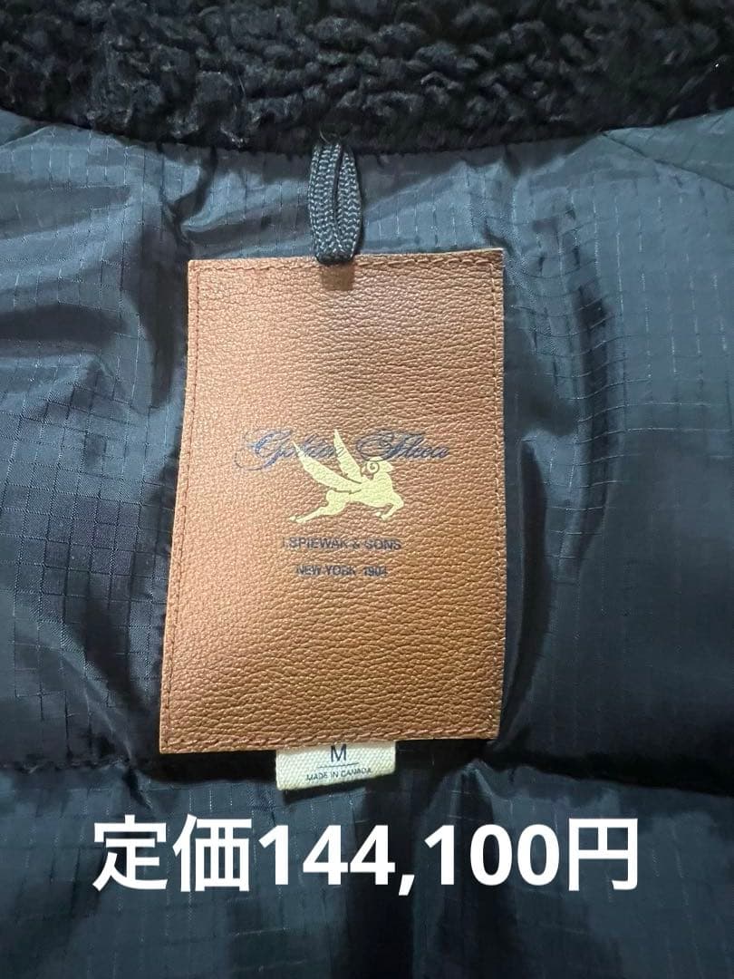 定価¥14万最上級‼️カナダ製スピワック　GOLDEN FREECE N 3B