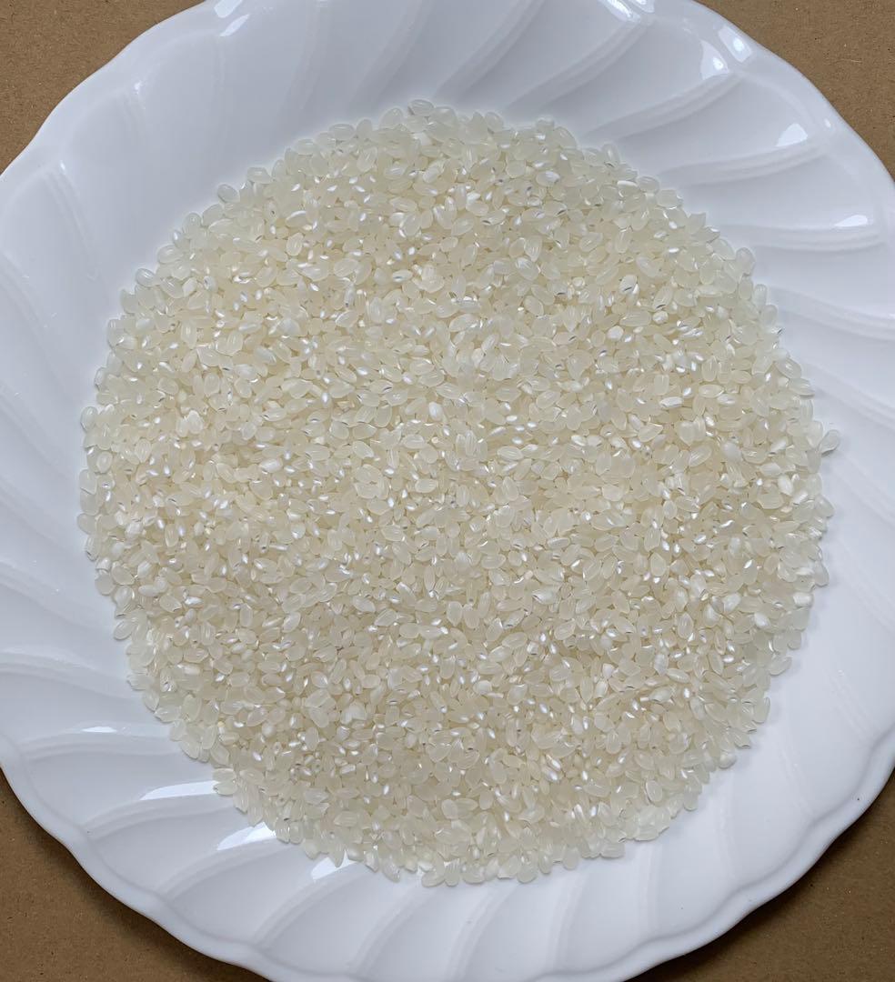 高食味❗️令和7年 低農薬栽培 高知コシヒカリ玄米10キロ(5kg×2)精米無料